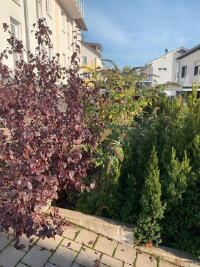 Foto - 4 - Zimmer Wohnung in Weinsberg