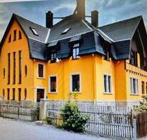 einzigartige, individuelle Dachgeschoßwohnung - Geyer