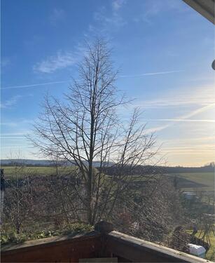 Foto - 6 Zimmer Etagenwohnung in Jena