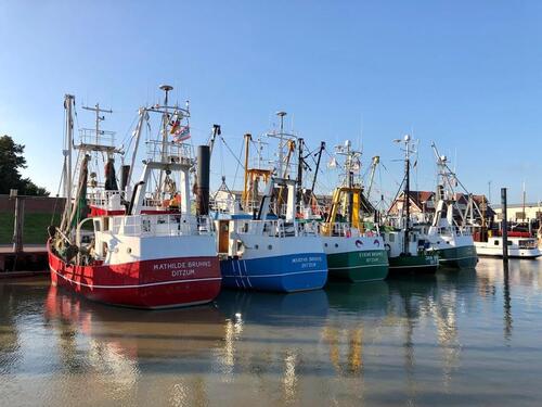 Foto - Schöne Ferienwohnung in Ditzum Dollart Ostfriesland Ostern frei!