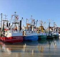 Schöne Ferienwohnung in Ditzum Dollart Ostfriesland - Jemgum