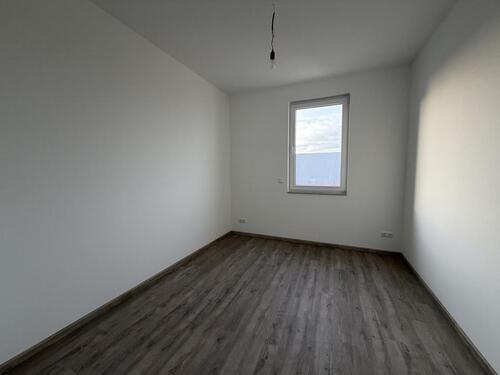 Foto - andere in Gifhorn