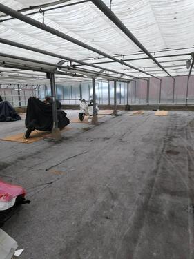 Foto - andere in Hamburg