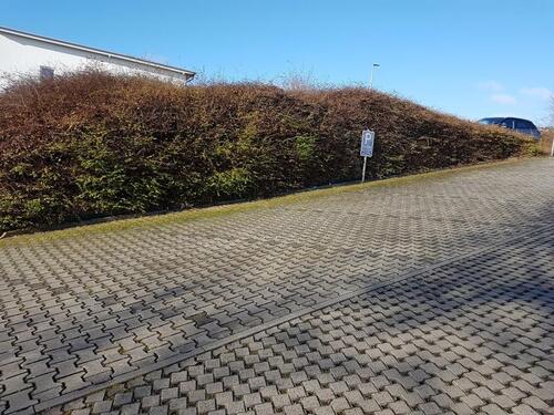 Foto - andere zur Miete in Bad Camberg