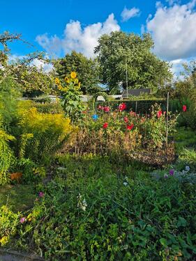 Foto - Schrebergarten - 850,00 EUR Kaltmiete, ca.  0,00 m²