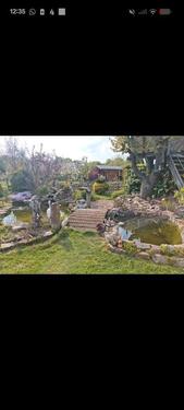 Foto - Garten zu verkaufen - 4.500,00&nbsp;EUR Kaufpreis, ca.&nbsp; 0,00&nbsp;m&sup2;