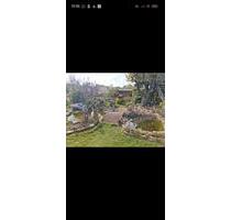 Garten zu verkaufen - 4.500,00&nbsp;EUR Kaufpreis, ca.&nbsp; 0,00&nbsp;m&sup2; in Bad Langensalza (PLZ: 99947)