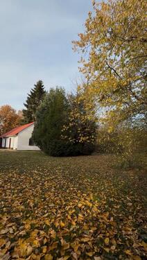 Foto - 8 Zimmer Doppelhaushälfte in Einbeck