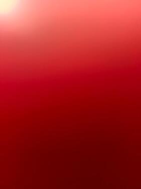 Foto - Kleingarten in Wilmersdorf mit Häuschen Einmalige Gelegenheit