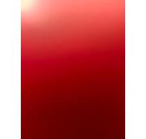 Kleingarten in Wilmersdorf mit Häuschen Einmalige Gelegenheit - Berlin Charlottenburg-Wilmersdorf