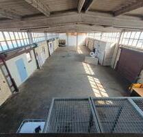 300m² LAGERHALLE ZU VERMIETEN - PROVISIONSFREI - Rastatt