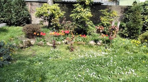 Foto - andere in Oer-Erkenschwick