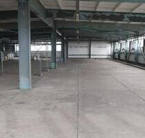 Büroflächen (25 m² + 12 m²) bei Hallen-Dessau - Dessau-Roßlau