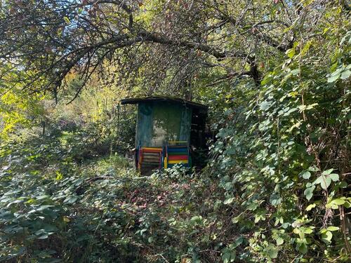 Foto - Streuobstwiese - 5,00 EUR Kaltmiete, ca.  0,00 m²