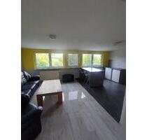 Ruhige Dachgeschosswohnung 2 Zimmer - Geisenheim