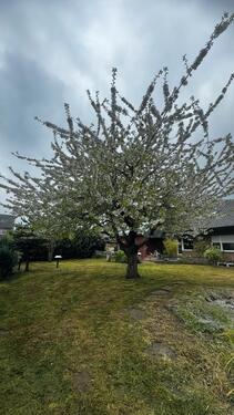 Foto - Einfamilienhaus in Ascheberg