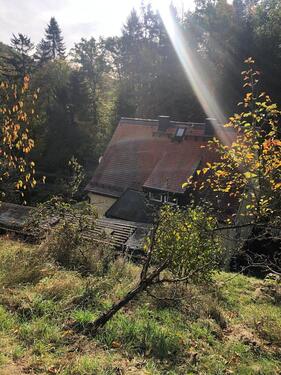 Foto - Einfamilienhaus in Tharandt zum Kaufen