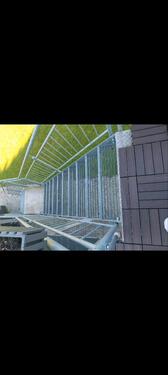 Foto - Etagenwohnung zur Miete in Roth