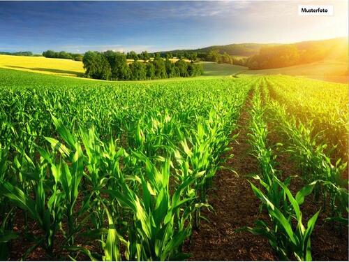 Foto - Provisionsfrei - schnell sein! Land- Forstwirtschaft in 04758 Oschatz