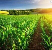 Provisionsfrei - schnell sein! Land- Forstwirtschaft in 04758 Oschatz