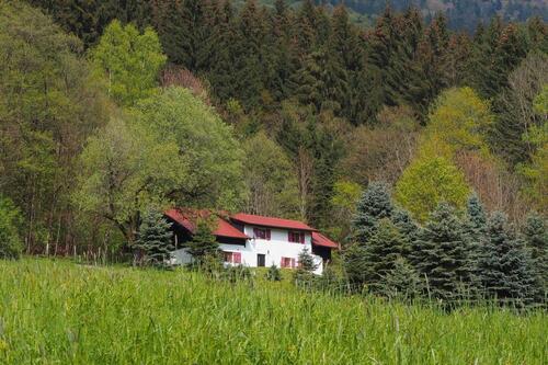 Foto - Ferienhaus Bayerischer Wald Traumlage Alleinlage *frei ab Mai*