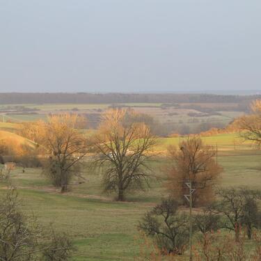Foto - 5 Zimmer Etagenwohnung zur Miete in Gersheim