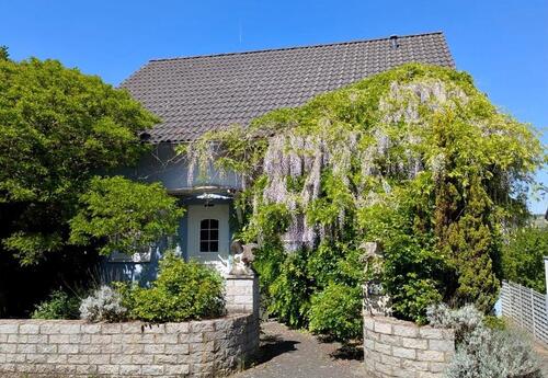Foto - 4 Zimmer Einfamilienhaus in Burgbrohl