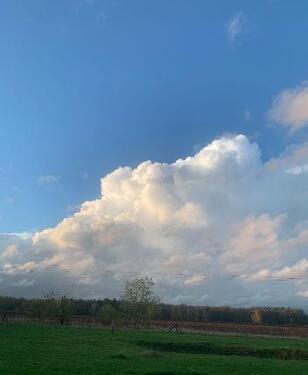 Foto - Große Wohnung renovierungsbedürftig, Garage, Nebengelass, Garten