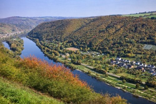 Foto - Waldgrundstück Freizeitgrundstück Moselblick zu verpachten