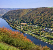Waldgrundstück Freizeitgrundstück Moselblick zu verpachten - Dieblich Waldgrundstück Freizeitgrundstück Moselblick zu verpachten - Dieblich