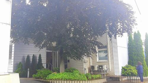 Foto - Großzügige Dachgeschosswohnung (ca. 130 m²) mit 4 Zimmern