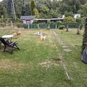 Foto - Garten abzugeben - 550,00&nbsp;EUR Kaltmiete, ca.&nbsp; 0,00&nbsp;m&sup2;