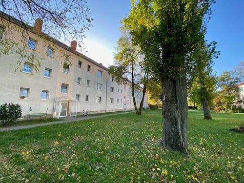 Foto - 2 Raum-Wohnung in Leopoldshall - 290,00&nbsp;EUR Kaltmiete, ca.&nbsp; 48,28&nbsp;m&sup2;