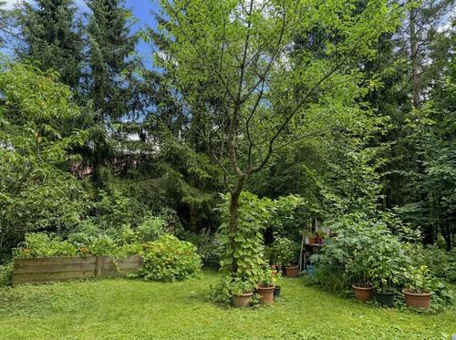 Foto - 2.5 Zimmer Einfamilienhaus zum Kaufen in Leiferde