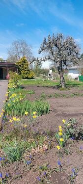 Foto - Garten abzugeben in Osmünde - 500,00&nbsp;EUR Kaltmiete, ca.&nbsp; 0,00&nbsp;m&sup2;