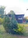 Foto - 3 Zimmer Einfamilienhaus zum Kaufen in Hitzacker (Elbe)