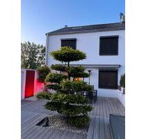Familienhaus am Park | Neues Dach | Neue Heizung | PV m. Speicher - Krefeld Benrad