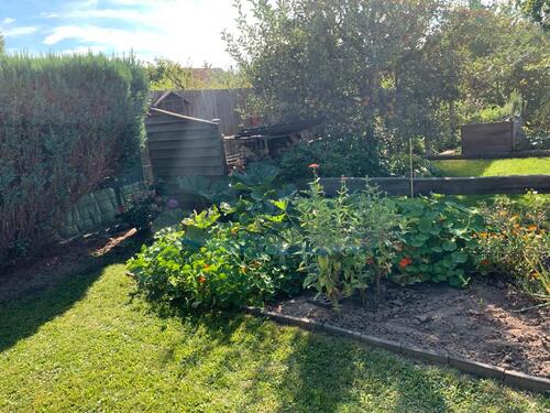 Foto - Grundst&uuml;ck zur Miete in Dresden