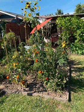 Foto - Grundst&uuml;ck in Dresden