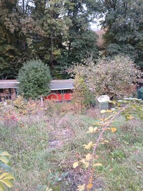 Foto - Kleingärten - 300,00 EUR Kaltmiete, ca.  0,00 m²