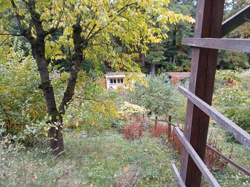 Foto - Grundstück in Saalfeld (Saale)