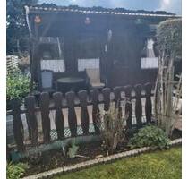 Gut gepflegter Garten in Gera (Pforten) abzugeben