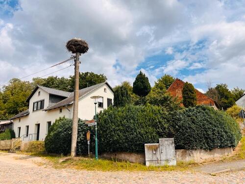 Foto - 7 Zimmer Bauernhaus, Landhaus zum Kaufen in Oderberg