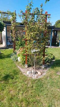 Foto - Kleingarten abzugeben - 2.200,00&nbsp;EUR Kaltmiete, ca.&nbsp; 0,00&nbsp;m&sup2;