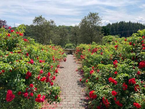 Foto - Etagenwohnung in Weilburg