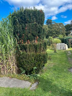 Foto - Grundst&uuml;ck zur Miete in Freiberg
