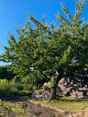Foto - Grundst&uuml;ck in Braunschweig