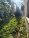 Foto - Einfamilienhaus mit viel Platz von Privat