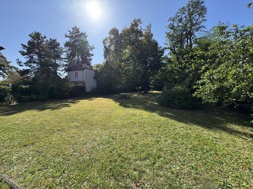 Foto - 7 Zimmer Einfamilienhaus in Markkleeberg