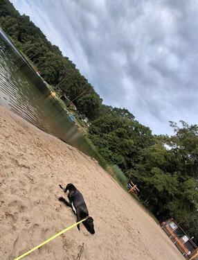 Foto - 